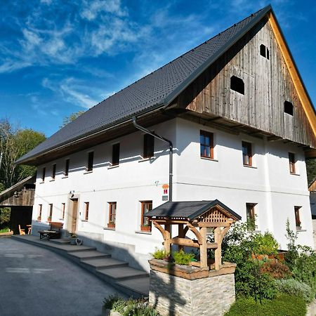 Apartmaji Tina Zgornje Gorje Kültér fotó
